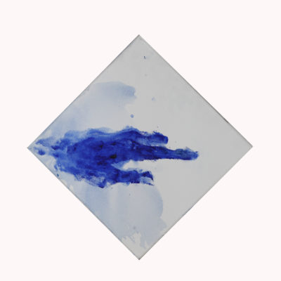 Mano azzurra copia